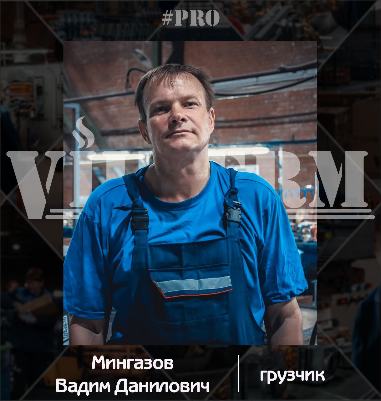 VilTerm Pro Мингазов Вадим