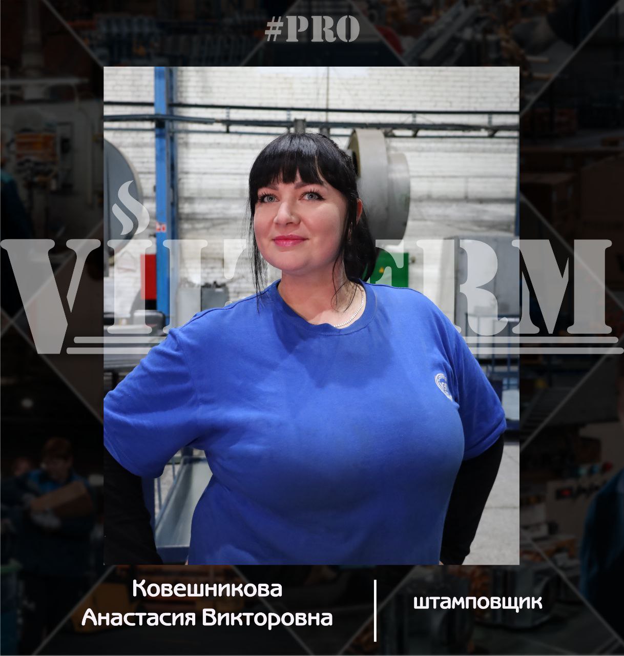 VilTerm Pro Ковешникова Анастасия