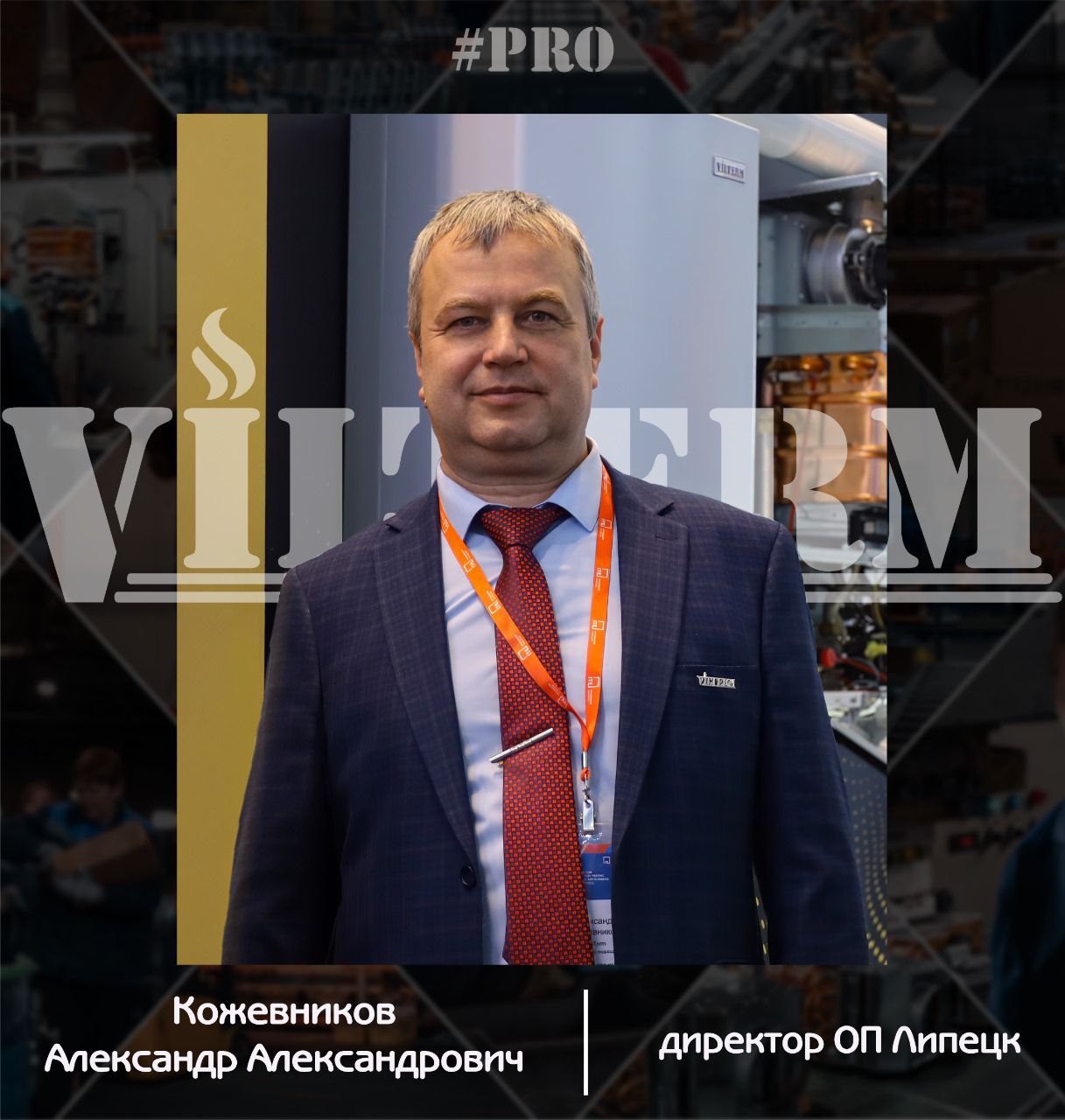 VilTerm Pro Кожевников Александр