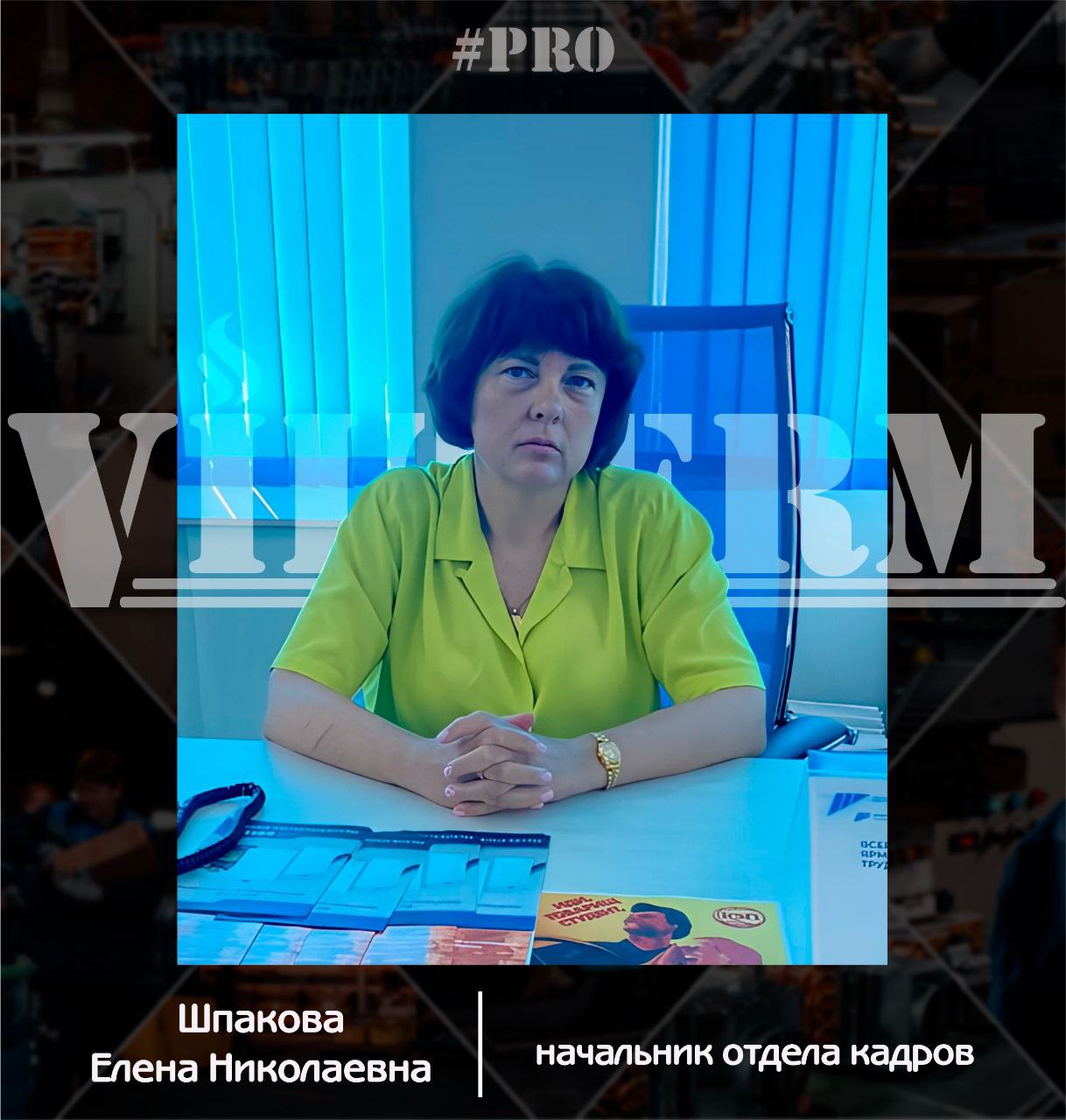 #ProVilTerm Шпакова Елена