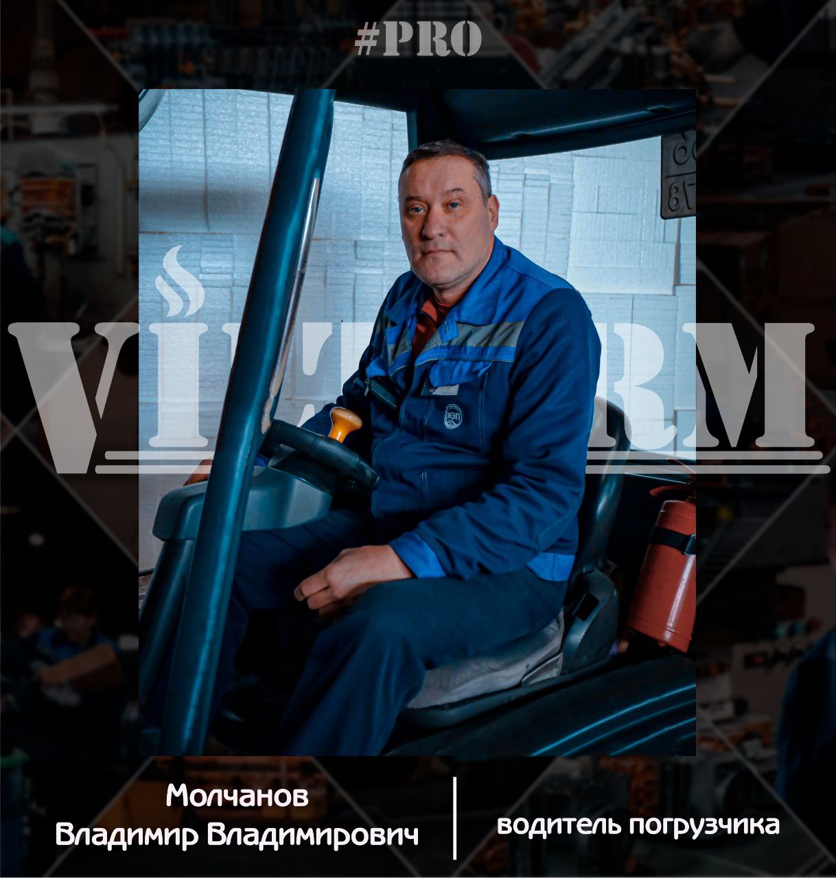 VilTerm Pro Молчанов Владимир