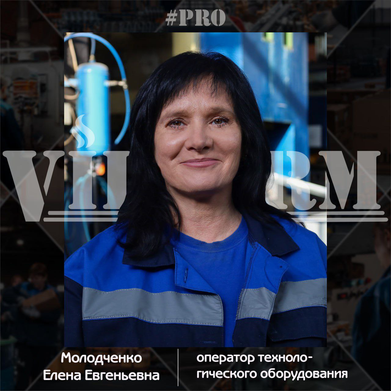 #ProVilTerm Молодченко Елена