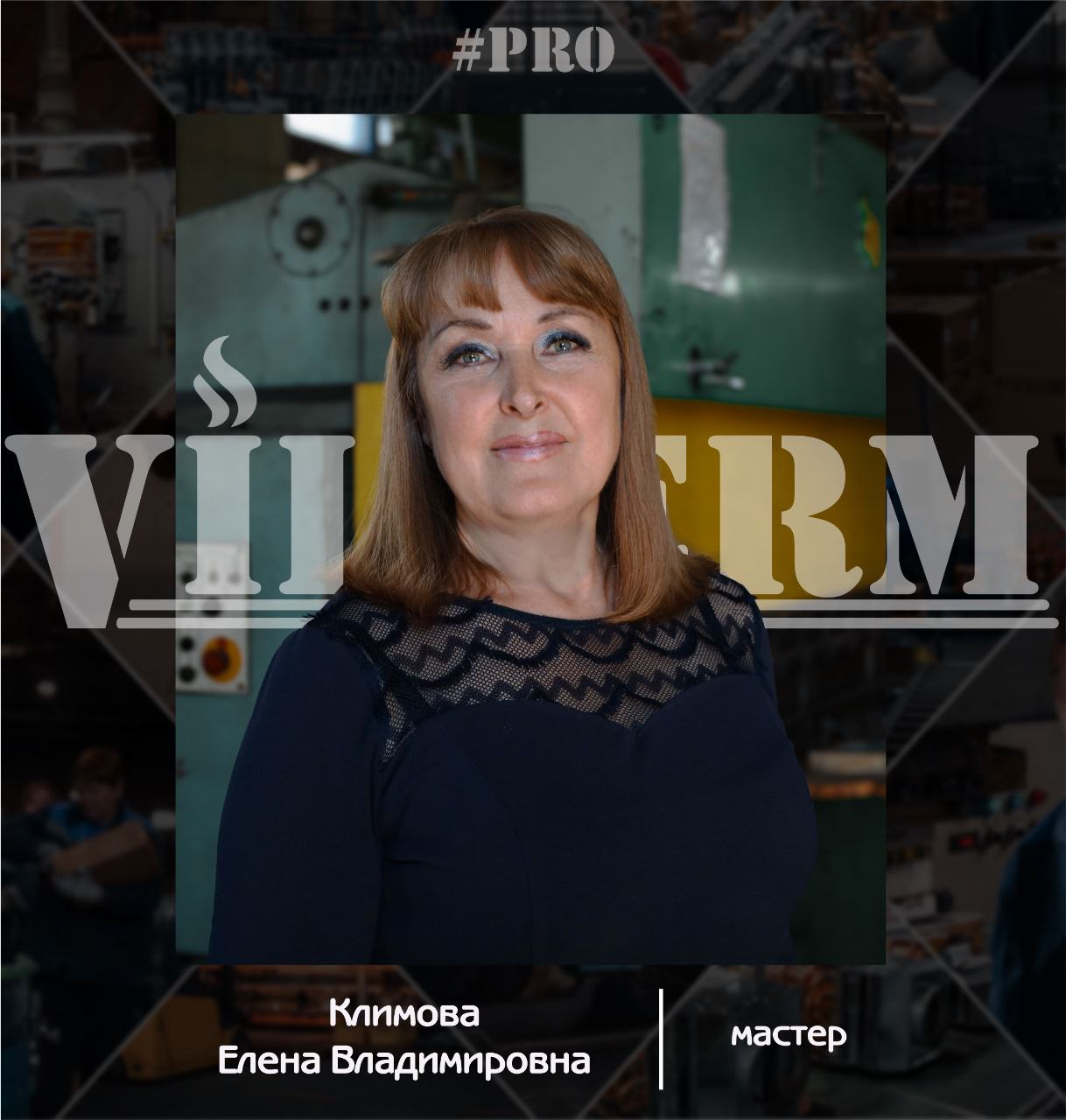 #ProVilTerm Климова Елена